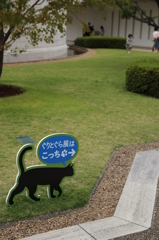 ひろしま美術館