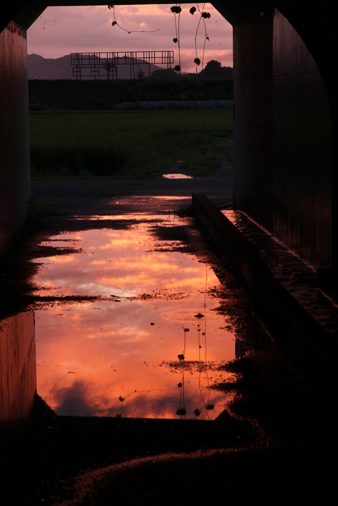 日没