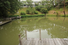 池