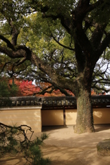 承天寺