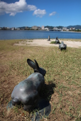 うさぎ