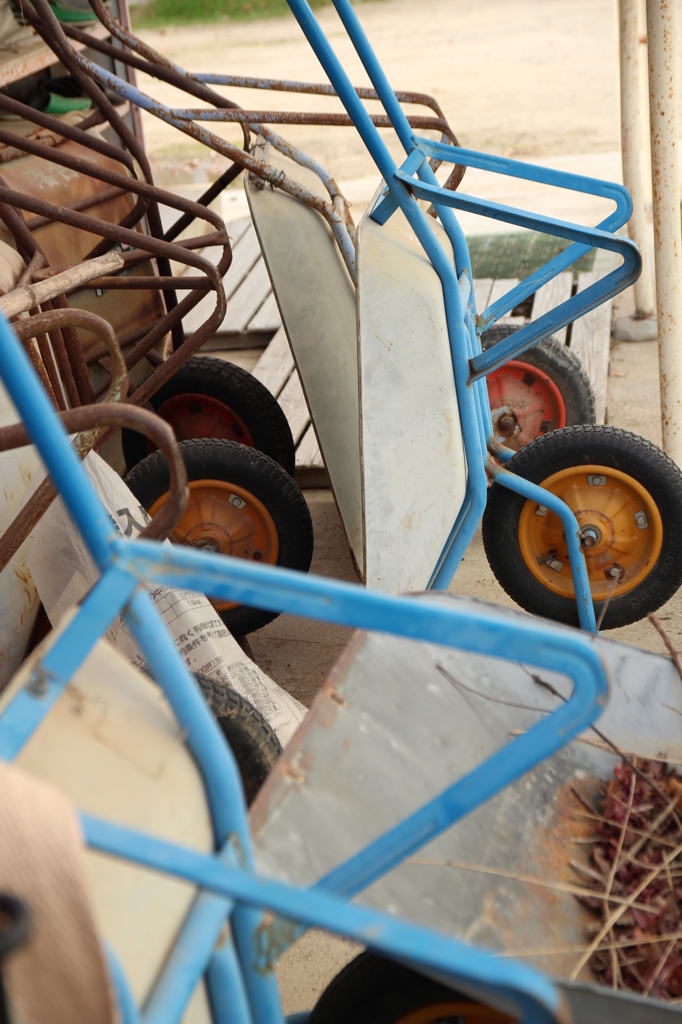 ならぶ＠小学校