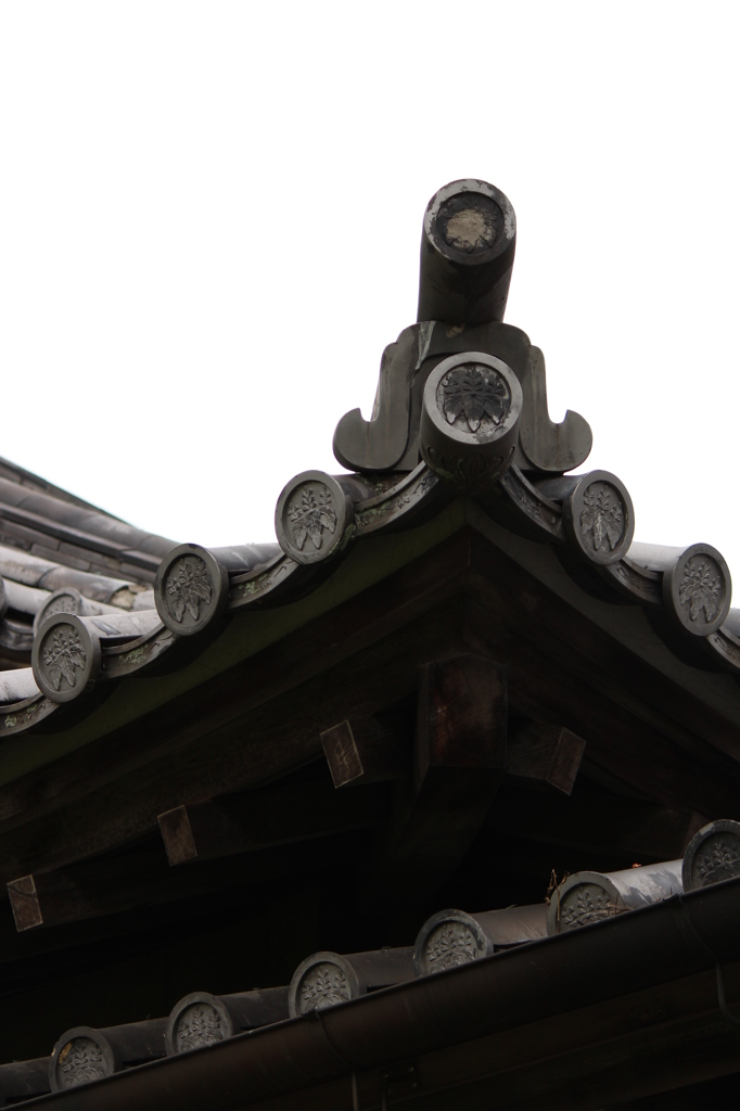 屋根