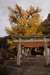 迦具神社