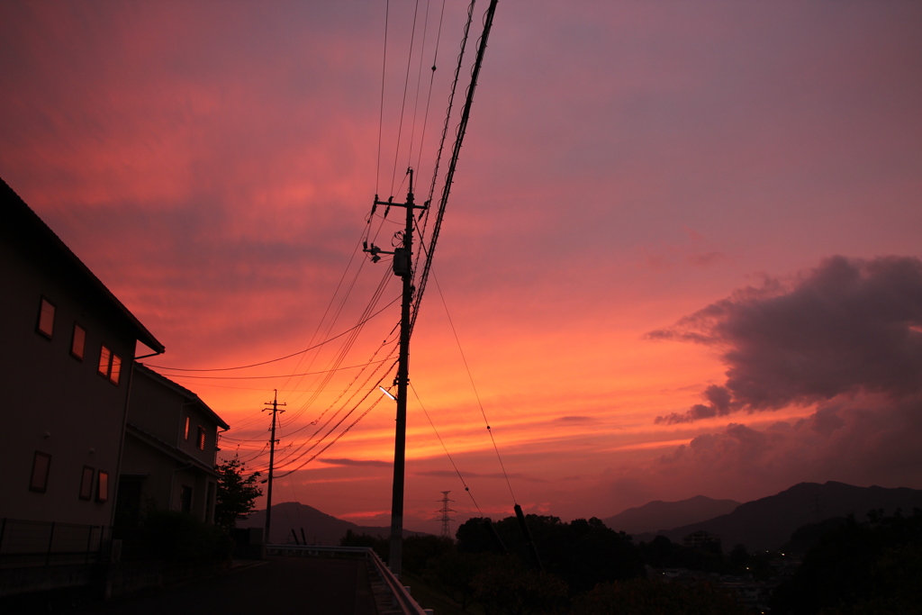 日没