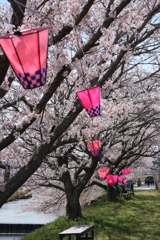 千本桜