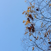 空