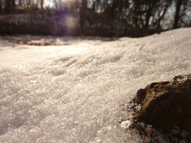 雪の中