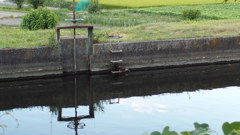 入水