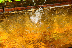 水