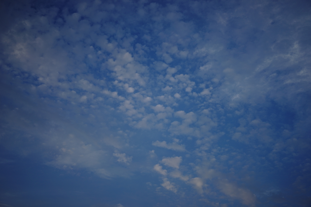 夏の空