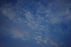 夏の空