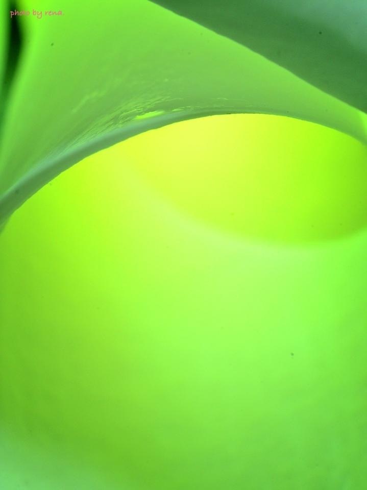 緑の光