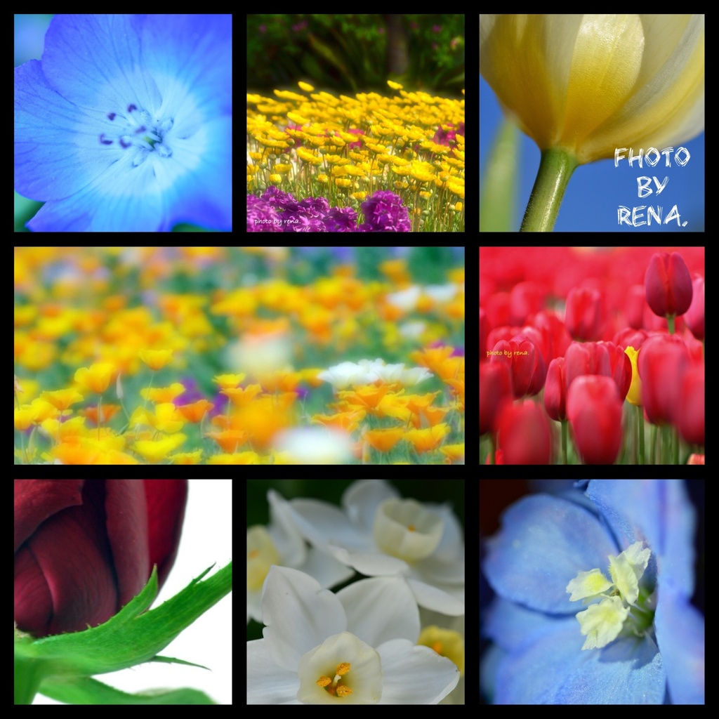 花コラージュ
