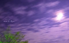 月夜