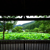 花はす公園