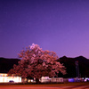 味真野小学校