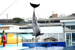 松島水族館