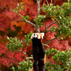 西山動物園