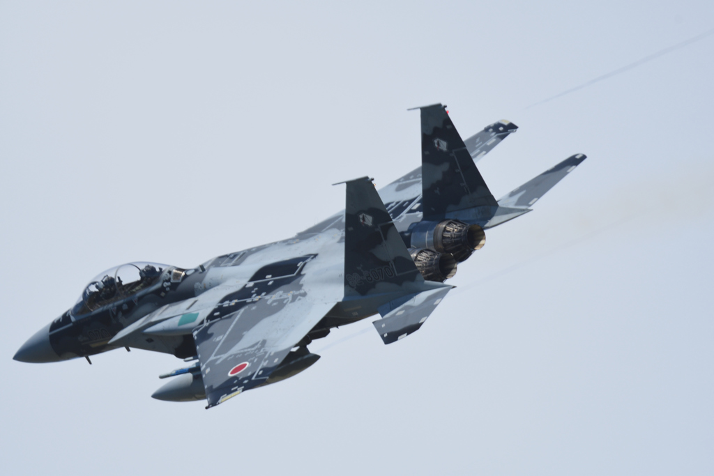 アグレッサー夏の新色