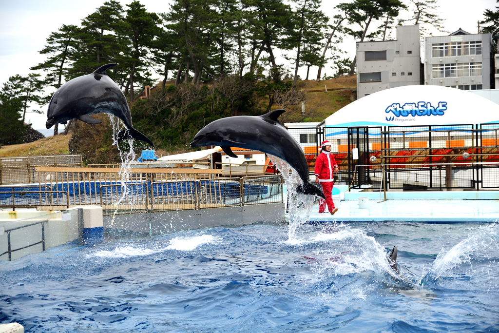 松島水族館
