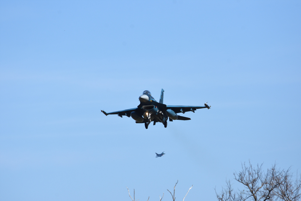 VIPER ZERO①