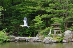 越前の里味真野苑