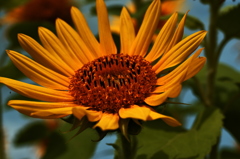 IMGP6082(1)