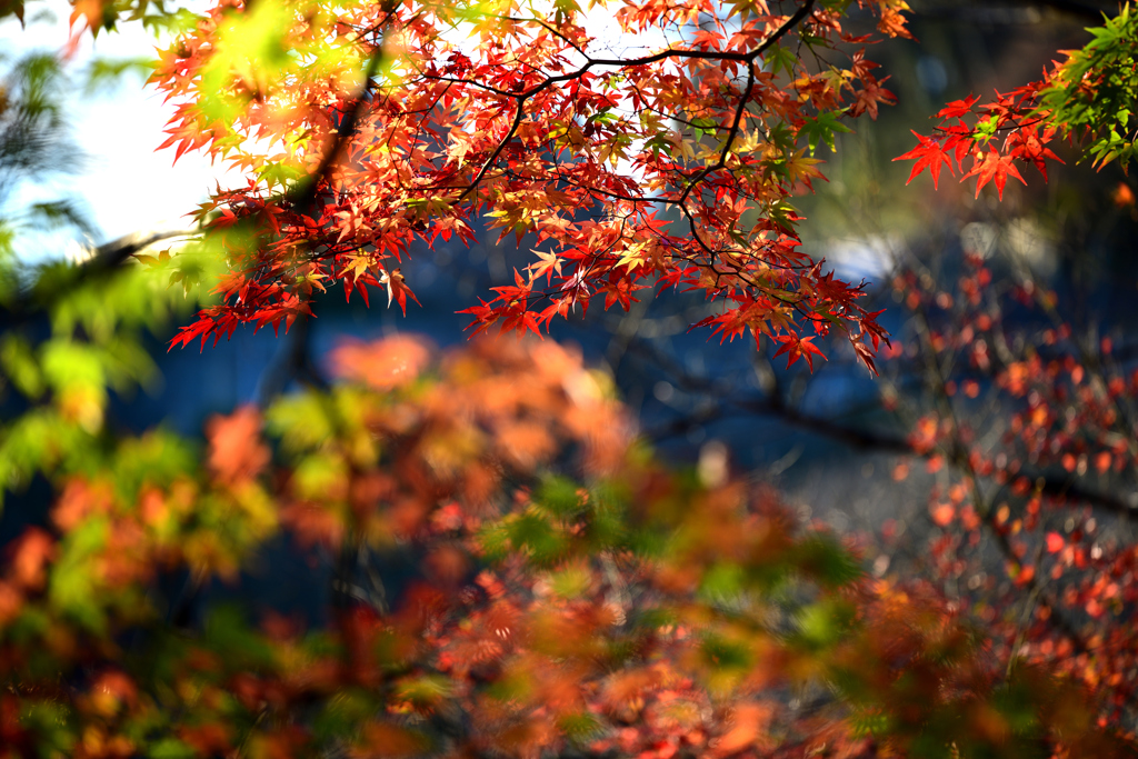 西山公園