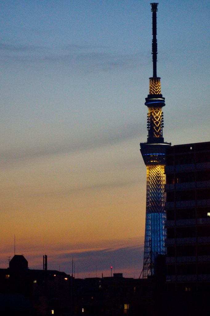 夕暮れのスカイツリー