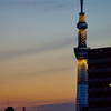 夕暮れのスカイツリー