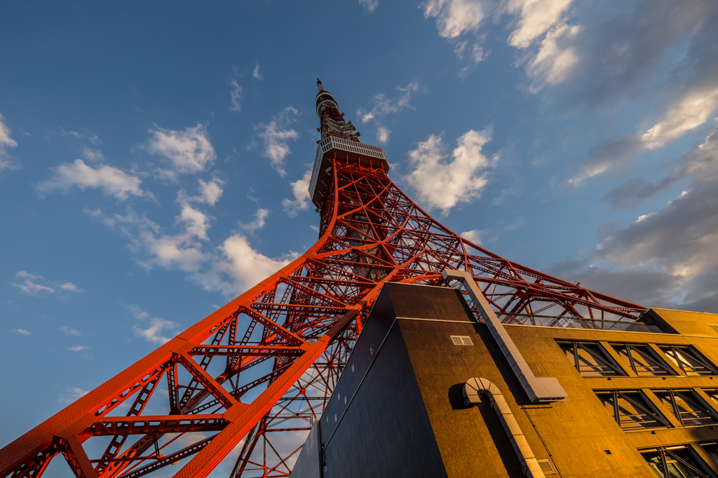 何と言おうがTOWER OF TOKYO
