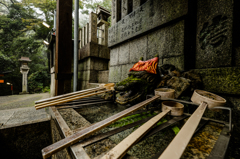 龍の洗礼