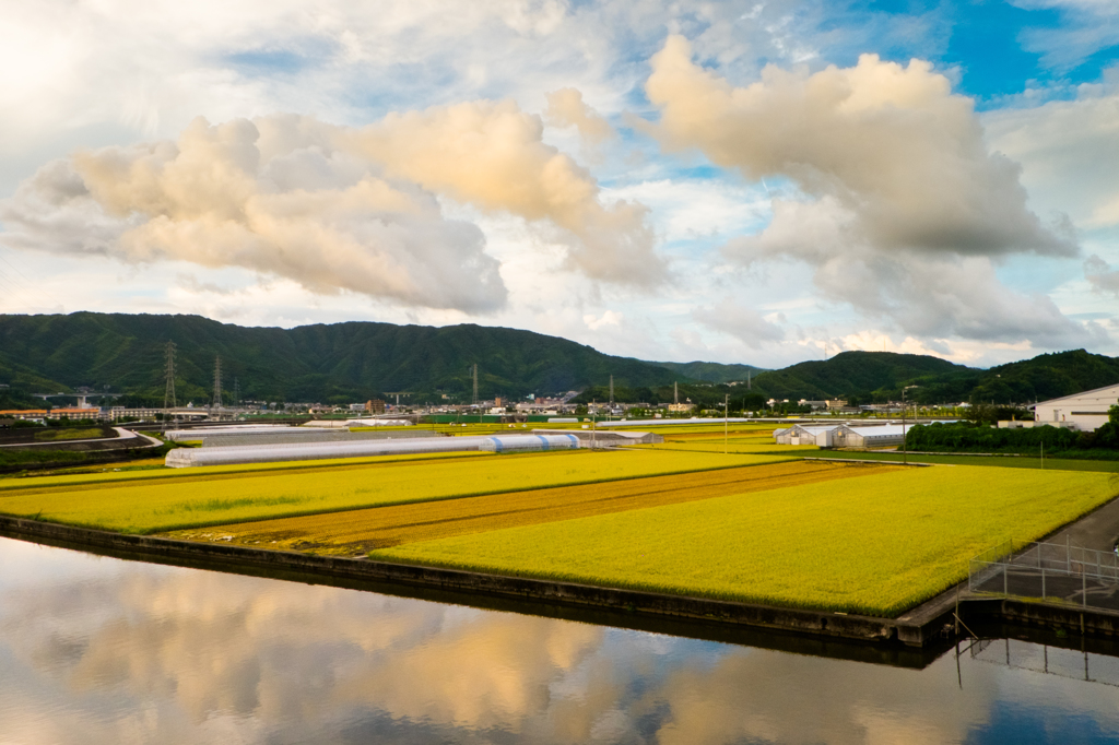 雲に釘づけ