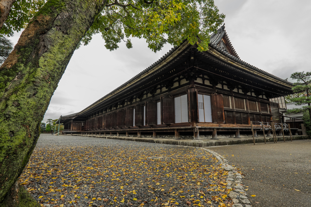 三十三間堂、秋はじめ