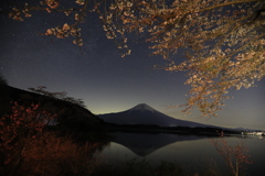 富士五湖 桜最前線