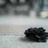 薔薇の落し物
