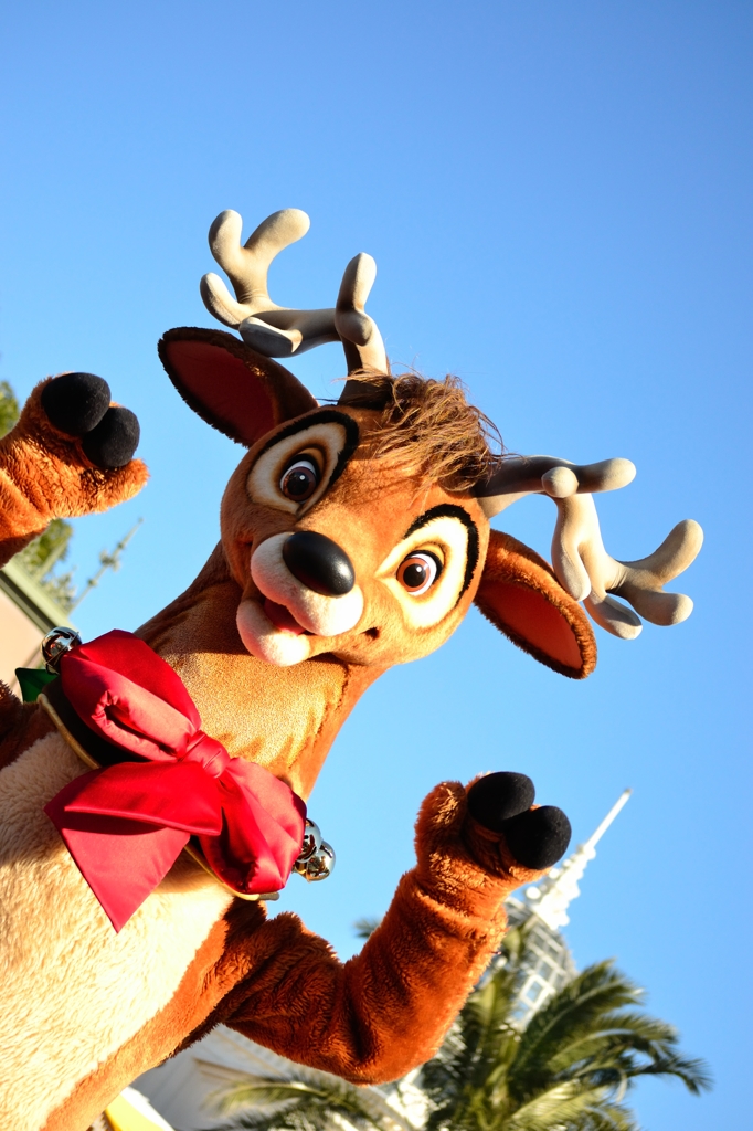 reindeer