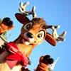 reindeer