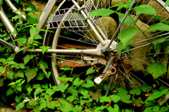 abandoned