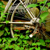 abandoned