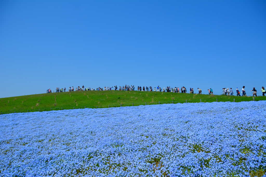marching through the sky