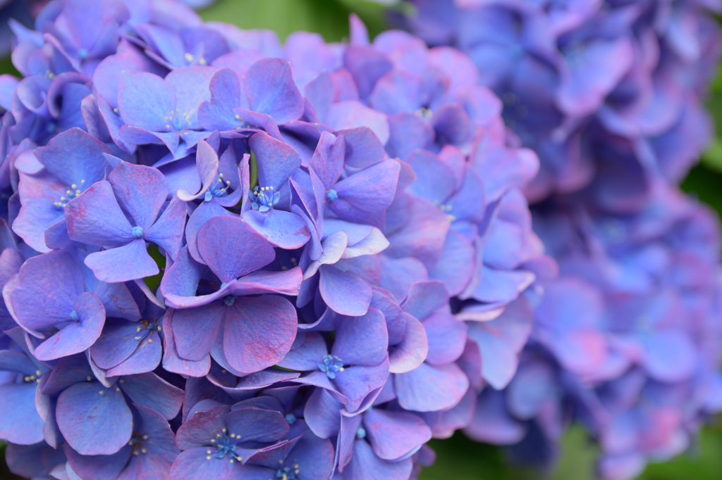 prologue to summer