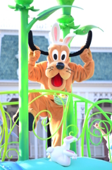 pluto