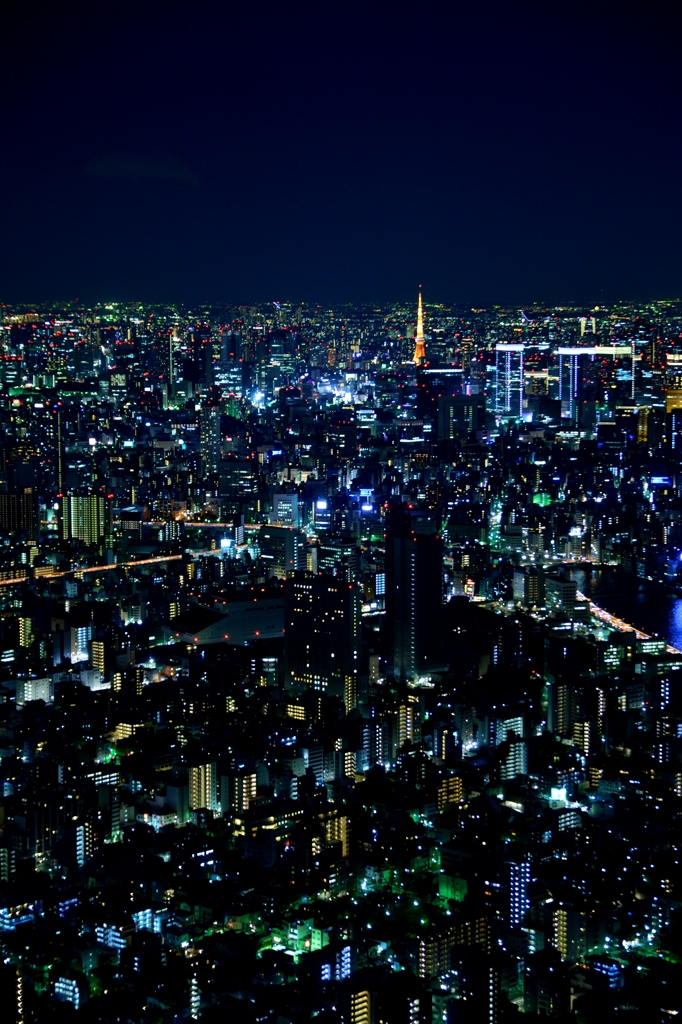 night sight from skytree