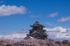 『岐阜』 桜雲