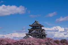 『岐阜』 桜に浮かぶ一夜城