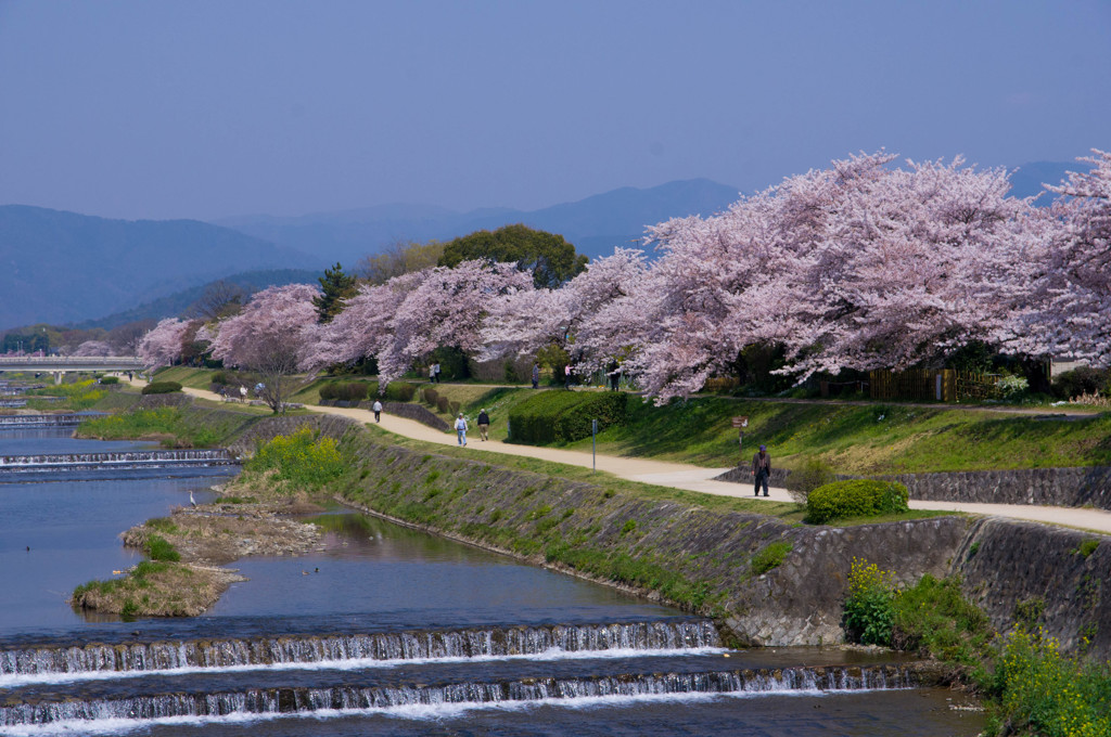 『京都』 鴨川