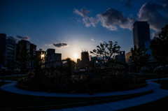 『大阪』 中之島公園