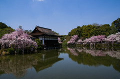 『京都』 平安神宮